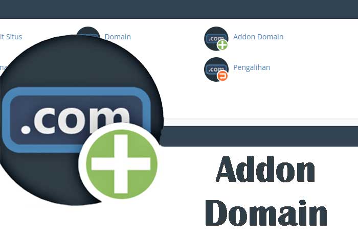 What is the different between Primary domain and Add-on domain in cPanel ?