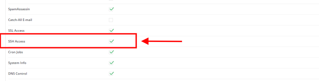 Enabling SSH Access for Users in DirectAdmin